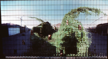 Backyard DATE - 1982 DISCIPLINE - Art MEDIUM – Multi image panoramic photograph